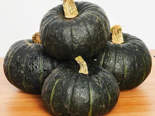 成人南瓜视频下载,成人南瓜视频一键获取指南 成人南瓜视频下载,成人南瓜视频一键获取指南